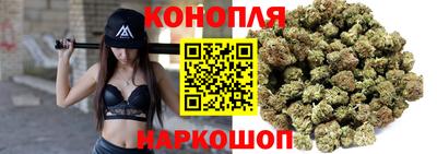 шишки Пыть-Ях