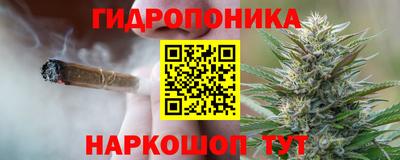 шишки Пыть-Ях