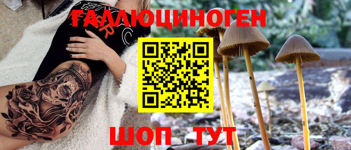Псилоцибиновые грибы мухоморы  Вход с VPN  Саров 
